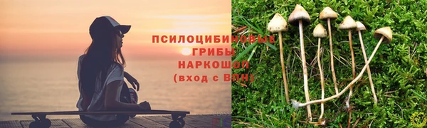 круглые Алексин