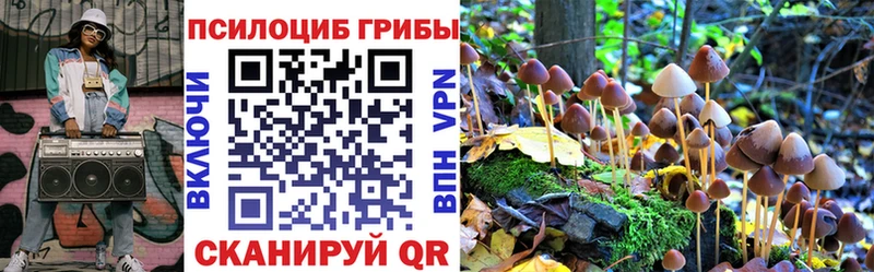 купить наркотик Бердск Псилоцибиновые грибы GOLDEN TEACHER
