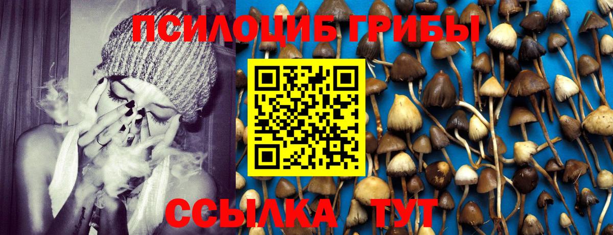 Галлюциногенные грибы мухоморы Бердск