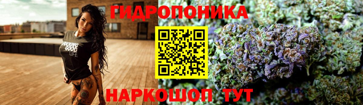 Конопля планчик  МАРИХУАНА план  Вход с VPN  Бердск 