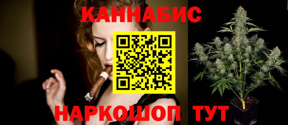 Бошки марихуана план Бердск